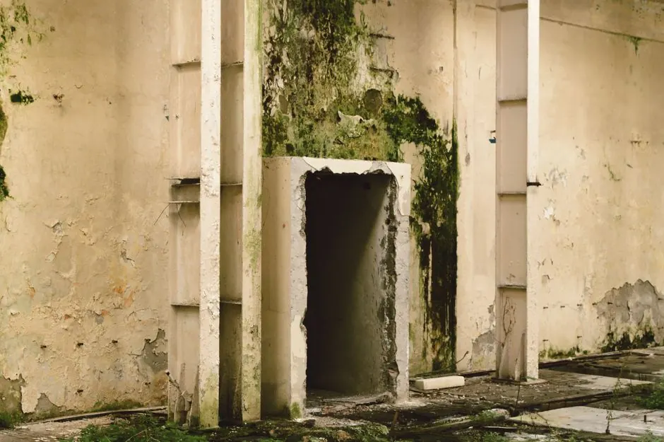 Explore the decaying walls and entrance of an abandoned building, showing urban decay.