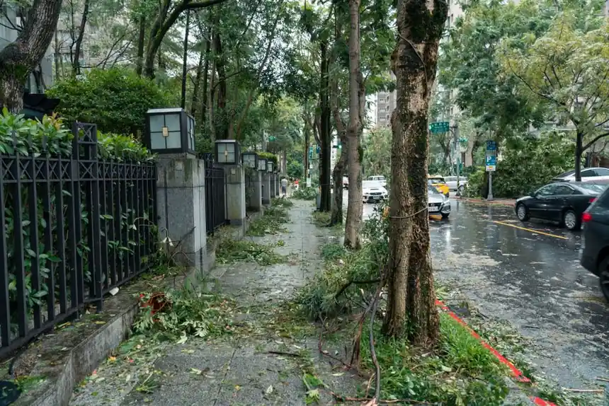 Our expertise in storm and hail damage restoration